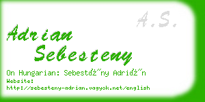 adrian sebesteny business card